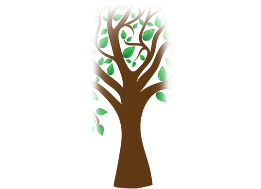 CentralSupport_TreeTrunk_538px.png